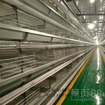 【养殖设备,鸡笼,全自动化养鸡设备,河南华顺养殖设备厂家热销产品】-